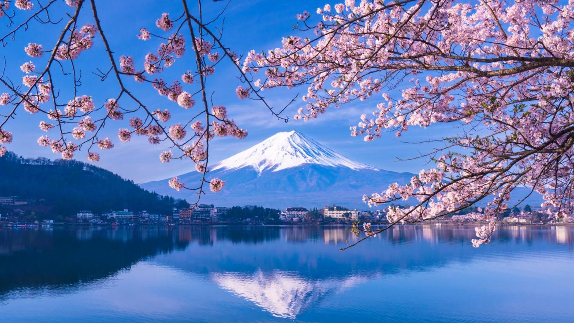 Mt Fuji Glamping Tourist Villa Kawaguchiko Fujikawaguchiko Dış mekan fotoğraf