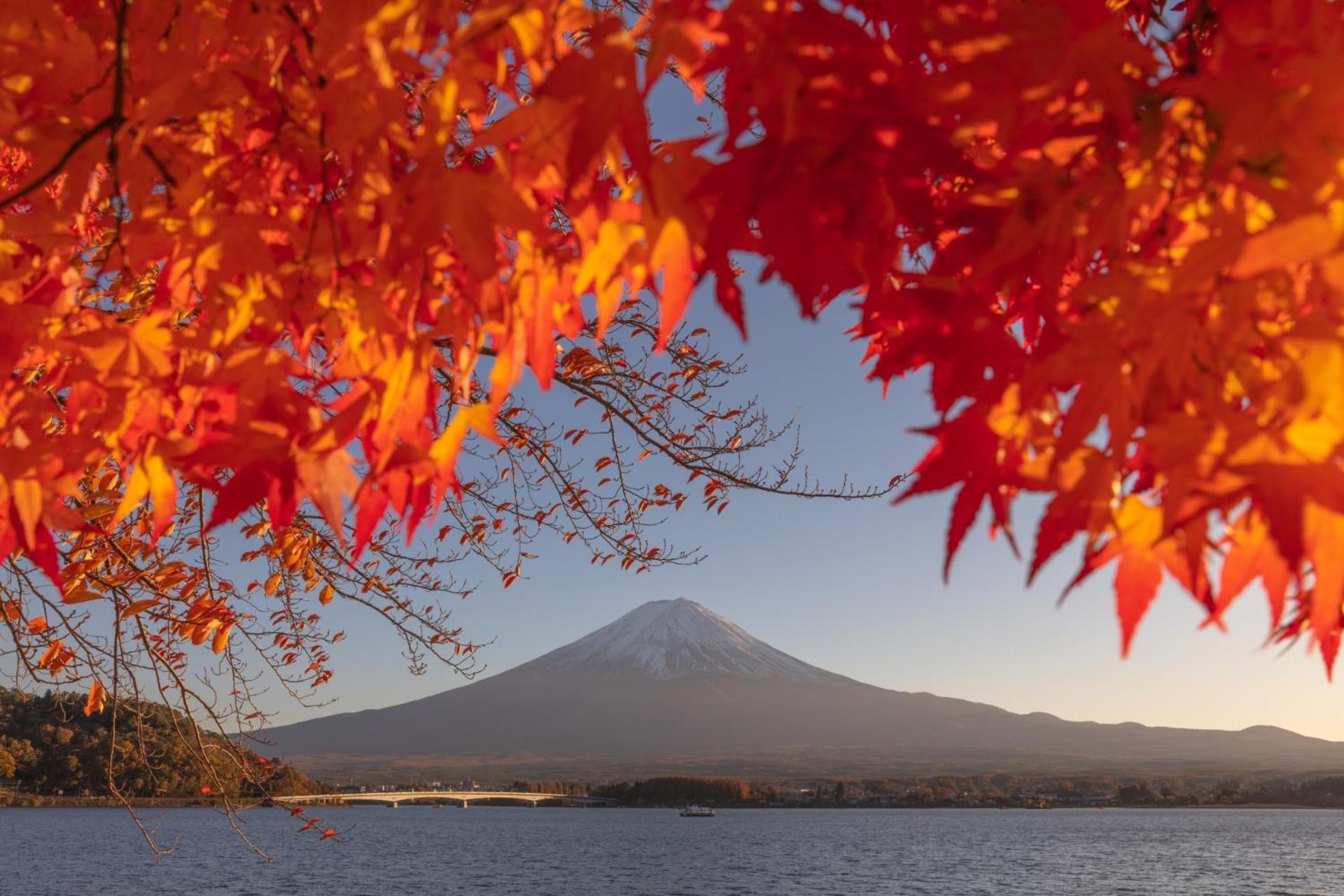 Mt Fuji Glamping Tourist Villa Kawaguchiko Fujikawaguchiko Dış mekan fotoğraf