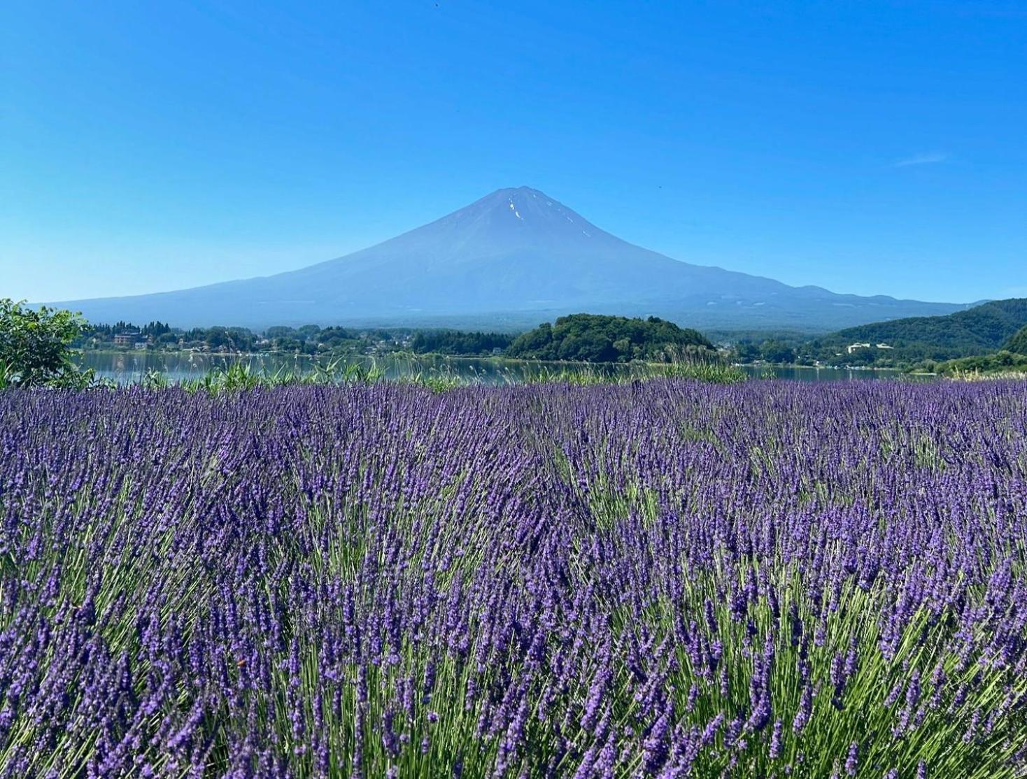 Mt Fuji Glamping Tourist Villa Kawaguchiko Fujikawaguchiko Dış mekan fotoğraf